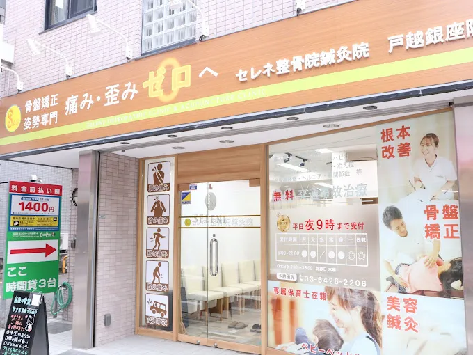 セレネ整骨院鍼灸院戸越銀座院外館